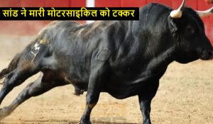 सांड ने मारी मोटरसाइकिल को टक्कर, 1 महिला की मौत और 2 लोग घायल