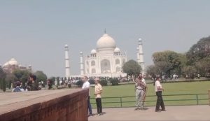 AGRA : ताजमहल देखने गए पर्यटकों पर मधुमक्खियों के झुंड ने किया हमला, मची अफरा-तफरी, देखें Video