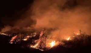 South Korea के जंगलों में लगी भीषण आग, 1300 साल पुराना बौद्ध मठ जलकर खाक… काबू पाने में लगे 9000 अग्निशमन कर्मी