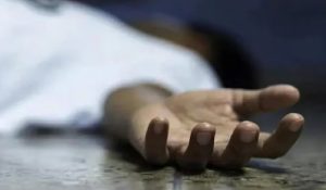 100 क्राइम सीरियल देखे, घर में कैमरे लगवाए… फिर उतारा पति को मौत के घाट; जान लें वजह