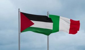 इजरायली हवाई हमले जारी रहने से गाजा में पैदा हो सकती है व्यापक अस्थिरता: UAE