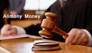 Alimony Money : क्या पुरुष भी मांग सकते हैं एलिमनी, जानिए कैसे तय होती है रकम