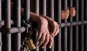 महिला की हत्या के जुर्म में 3 सगे भाइयों को आजीवन कारावास की कठोर सजा