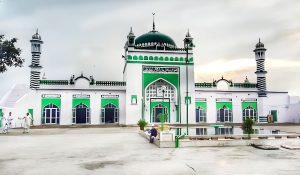 संभल जामा मस्जिद में रंगाई-पुताई की इजाजत, इलाहाबाद हाई कोर्ट ने दिया आदेश