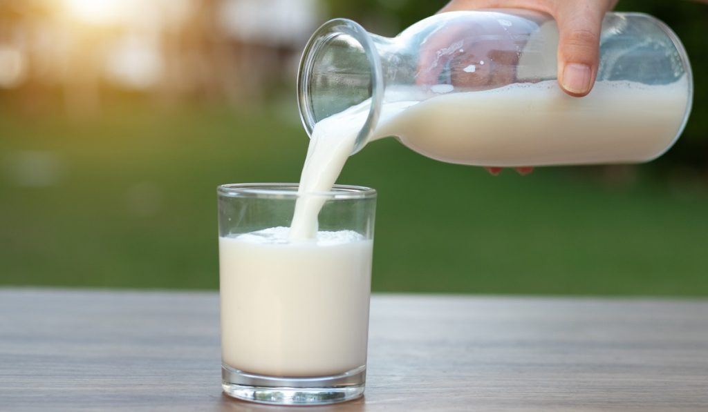 Milk becomes costlier by Rs 4 Karnataka