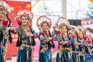 ल्हासा：शीत्सांग में मानवाधिकारों के विकास और प्रगति संबंधी न्यूज़ ब्रीफिंग आयोजित