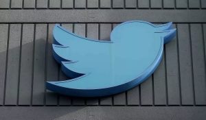 बिक गई Twitter की नीली चिड़िया, इतने लाख रुपए में हुई नीलाम
