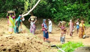 MNREGA घोटाला में हुआ बड़ा खुलासा… इस क्रिकेटर की बहन और जीजा 3 साल से ले रहे मजदूरी