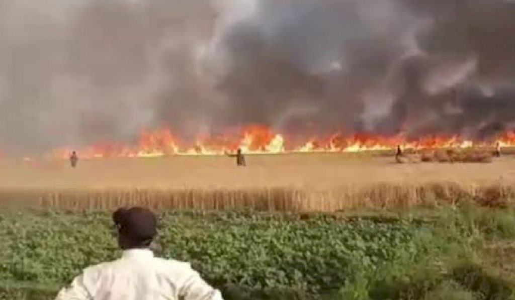 A huge fire broke out in the fields in Gwalior