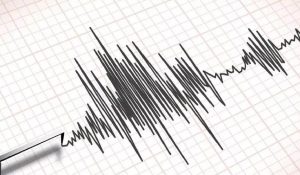 Pakistan Earthquake : भूकंप के झटके से दहला पाकिस्तान, घरों से भागे लोग… रिक्टर स्केल पर तीव्रता 5.8 थी तीव्रता