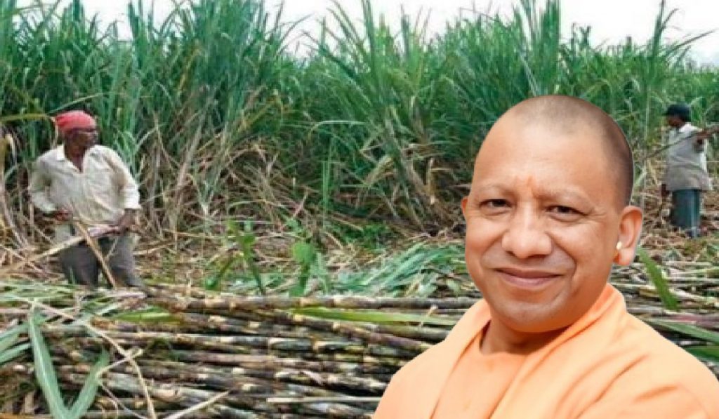 The lives of sugarcane farmers are changing