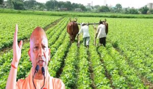 अगले दो साल में प्राकृतिक खेती पर करीब दो अरब खर्च करेगी योगी सरकार