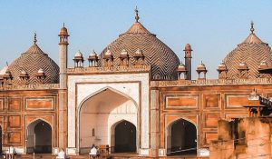 आगरा की जामा मस्जिद में मिला जानवर का कटा सिर, मुस्लिमों में भारी आक्रोश