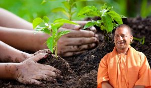 पर्यावरण बचाने के लिए स्कूलों से लेकर यूनिवर्सिटी तक के स्टूडेंट बनेंगे अभियान का हिस्सा