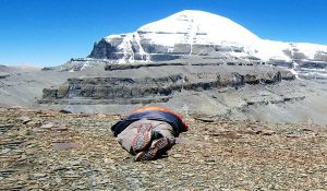 इस महीने शुरू होने जा रही है कैलाश मानसरोवर यात्रा, विदेश मंत्रालय ने दी जानकारी