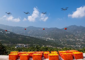 21वीं सदी के मध्य तक एक मजबूत कृषि राष्ट्र बनने के लिए अग्रसर चीन