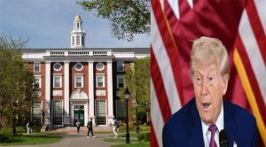 Harvard University: विदेशी छात्रों के लिए खुशखबरी, अमेरिकी अदालत ने ट्रंप प्रशासन के स्टूडेंट वीजा बैन पर लगाई रोक