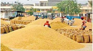 निजी क्षेत्र ने गेहूं खरीद का पिछला रिकार्ड तोड़ा, पिछले सत्र में 5.51% के मुकाबले मौजूदा खरीद 8.23% पहुंची