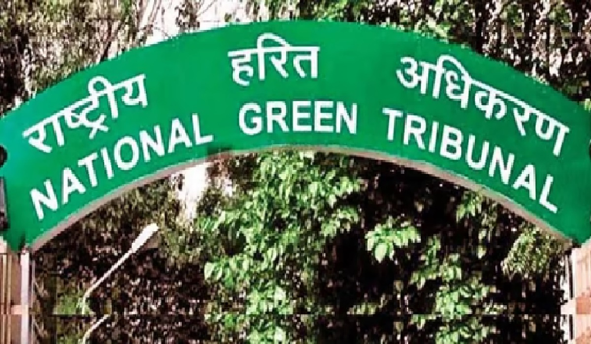 NGT का बड़ा फैसला: पंजाब में 1 जून से धान की बुआई की योजना को दी मंजूरी