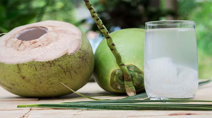 Benefits Of Coconut Water: त्वचा और बालों के लिए बहुत फायदेमंद है नारियल पानी, मिलेंगे कई फायदे