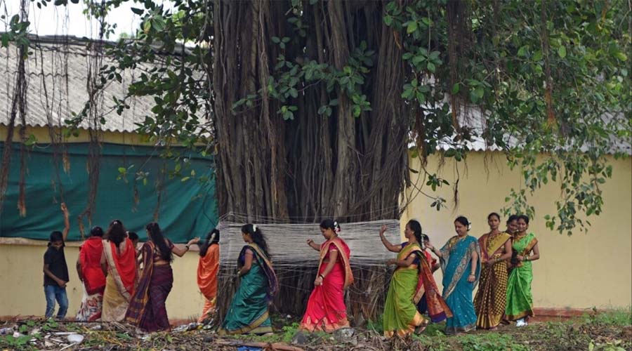आज रखा जाएगा वट सावित्री व्रत… जानिए पूजा के सही नियम, मिलेगा अखंड सौभाग्य का आशीर्वाद