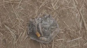 Big Breaking : जालंधर के इस इलाके में गिरा ड्रोन, लोगों में दहशत का माहौल