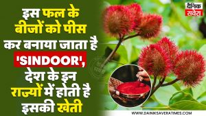 इस फल के बीजों को पीस कर बनाया जाता है ‘Sindoor’, देश के इन राज्यों में होती है इसकी खेती