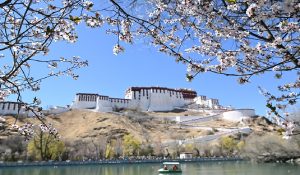 ल्हासा में पहले सांस्कृतिक पर्यटन महोत्सव की शुरुआत, अंतर्राष्ट्रीय पर्यटन गंतव्य बनाने का लक्ष्य