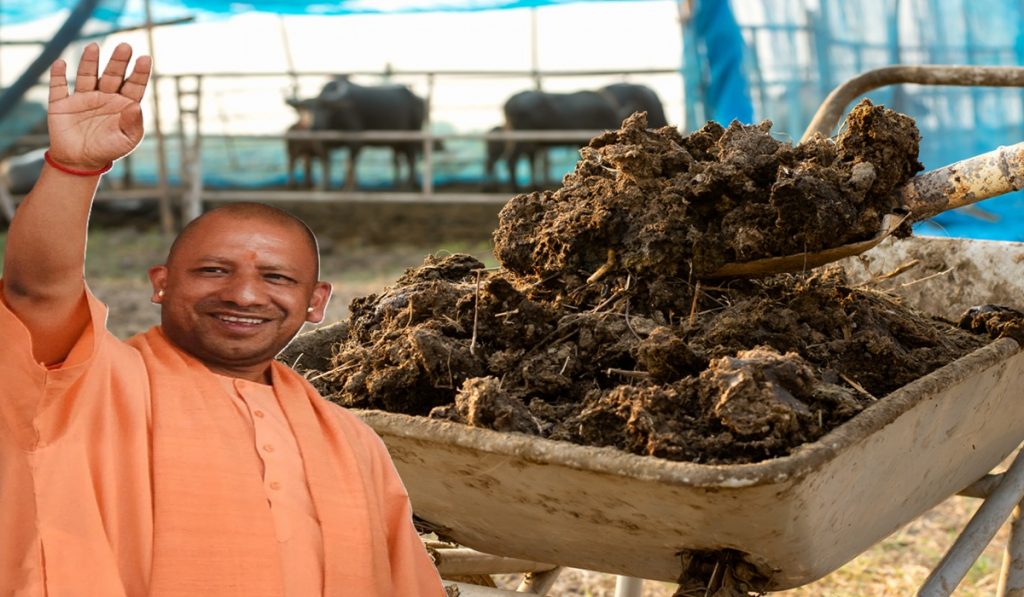 government buildings will be painted with cow dung