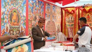 दूसरे ल्हासा आयातित माल मेले में भाग ले रहे 31 देश व क्षेत्र