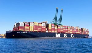 Ship MSC Irina : फुटबाल मैदान से 4 गुना बड़ा, दुनिया का सबसे बड़ा कंटेनर जहाज पहुंचा केरल पोर्ट