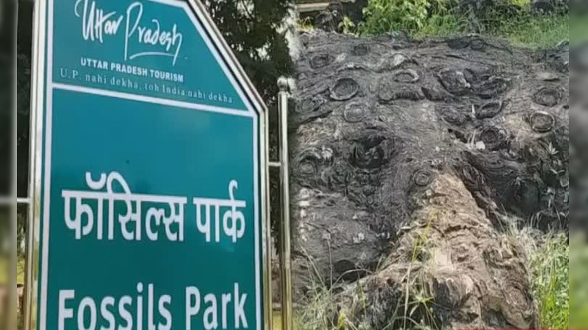 CM योगी के इको टूरिज्म के प्रयासों का दिख रहा असर, अंतरराष्ट्रीय स्तर पर फॉसिल्स पार्क को मिली ख्याति