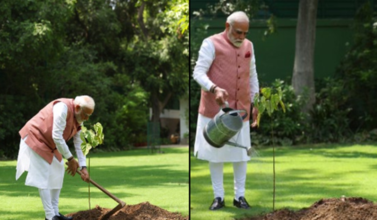 पर्यावरण दिवस पर PM मोदी ने लगाया सिंदूर का पौधा, 1971 युद्ध की वीरांगनाओं ने किया था भेंट