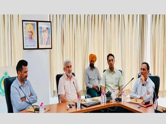 पंजाब में 1 जुलाई से 60 लाख पौधे लगाए जाएंगे: वन मंत्री कटारूचक