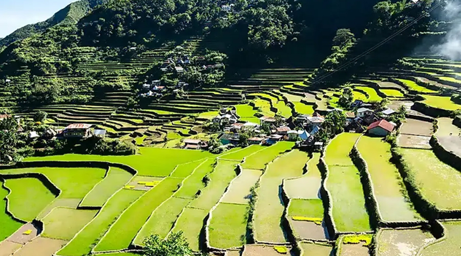 Planning for Philippines Trip