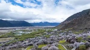 राष्ट्रपति शी चिनफिंग का शीत्सांग के गाला गांव के निवासियों को प्रेरणादायक संदेश
