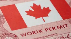 पंजाबियों के लिए बड़ी खबर: कनाडा सरकार ने बदले Work Permit के नियम, मिलेगा बड़ा फायदा