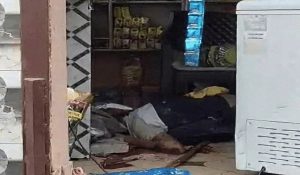 हरियाणा में एक व्यक्ति की दिन–दहाड़े हत्या, बाइक पर सवार हो आए तीन बदमाशों ने की ताबड़तोड़ फायरिंग
