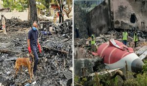 AI 171 crash: 202 शव सौंपे गए, 220 पीड़ितों की पहचान हुई… गुजरात सरकार ने दी जानकारी