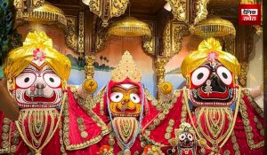 Jagannath Yatra में DJ की आवाज से बेकाबू हुए 3 हाथी, मची अफरातफरी… कई लोग घायल, Video