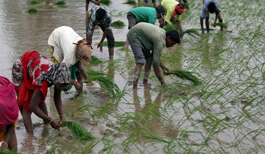 Farmers income in India