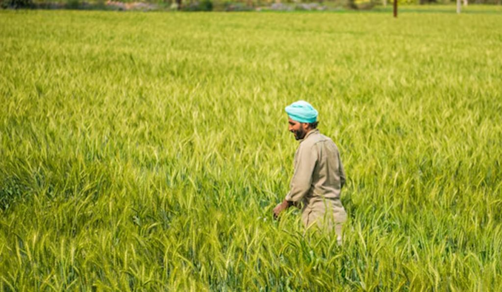 MSP and subsidy to farmers