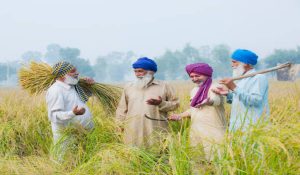 PM-KISSAN की 20वीं किस्त प्राप्त करने के लिए किसानों को करना पड़ेगा ये काम, नहीं तो खाते में नहीं आएगी रकम