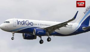 आसमान में चोरी, Indigo Flight में यात्री ने चुराई लाइफ जैकेट, वायरल हुआ Video