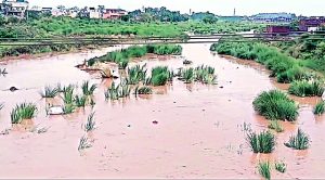बरसात की वजह से टांगरी नदी में आया पानी लोगों को लगा सताने