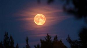 Ashadha Purnima 2025: इस दिन रखा जाएगा आषाढ़ पूर्णिमा… जानिए शुभ मुहूर्त और व्रत से जुड़ी खास बातें