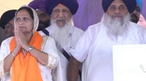 तरनतारन उपचुनाव:अकाली दल ने बीबी सुखविंदर कौर को बनाया उम्मीदवार, गुलजार सिंह को मिली अहम जिम्मेदारी