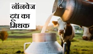 अमेरिका-भारत की अटकी ट्रेड डील, किसानों में दिख रही चिंता; जानें क्या होता है ‘नॉन-वेज मिल्क’?