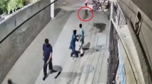 पालतू शेर ने महिला एवं उसके 2 बच्चों पर किया हमला, मालिक गिरफ्तार