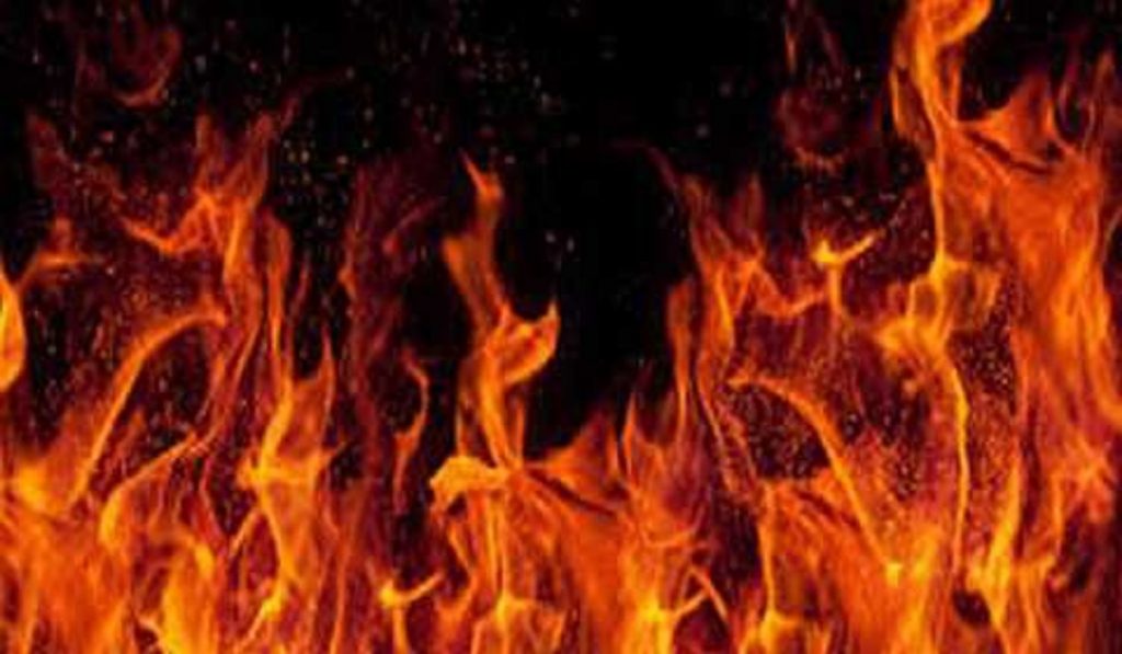 Rajasthan Accident News